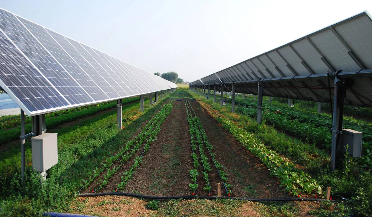 agricultural-solar-installations